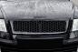 Preview: Sportgrill (Frontgrill ohne Emblem)