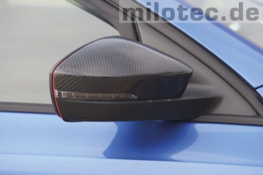 Spiegelkappen, Carbon