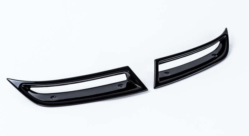 Auspuff-Dummies, Octavia III - schwarz