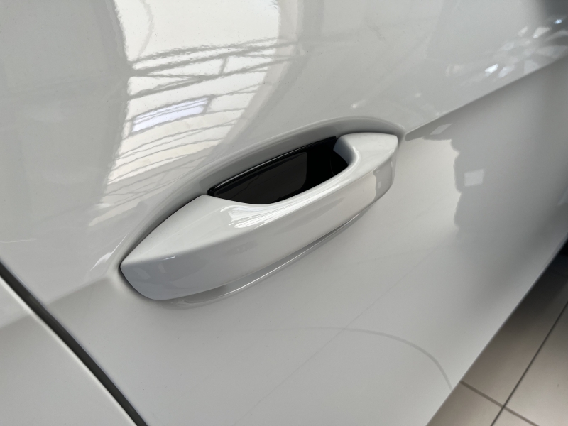 Griffmuscheln, Superb 4