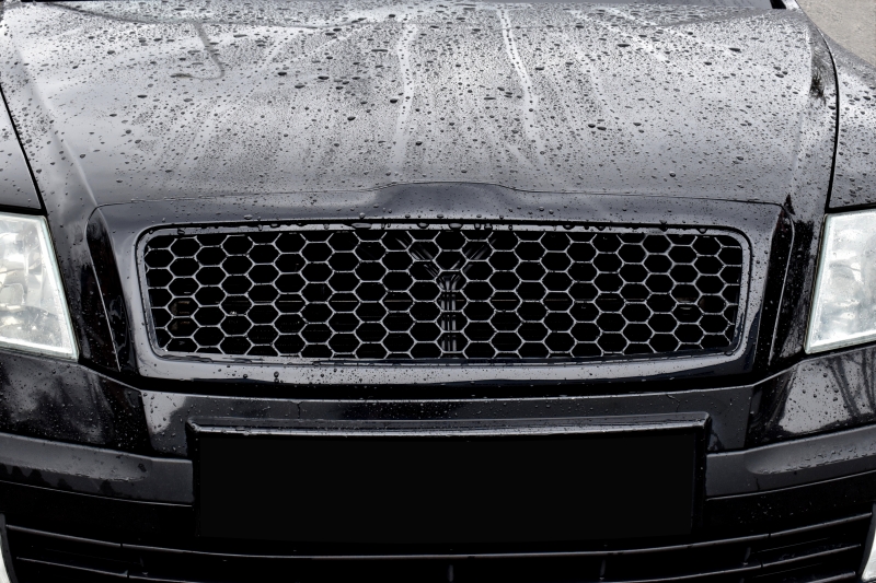 Sportgrill (Frontgrill ohne Emblem)