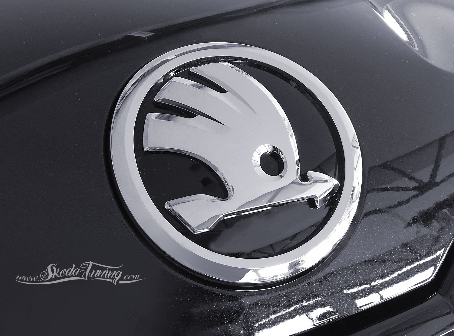 Skoda Emblem