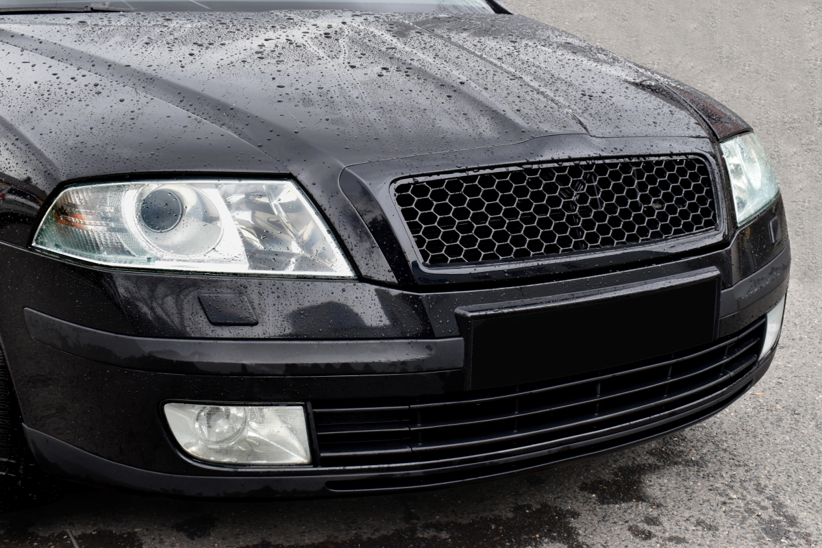 Sportgrill (Frontgrill ohne Emblem)
