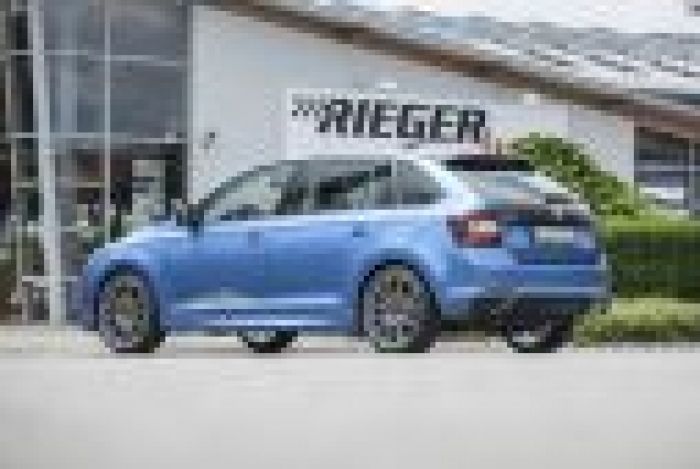 Seitenschweller Rapid, links