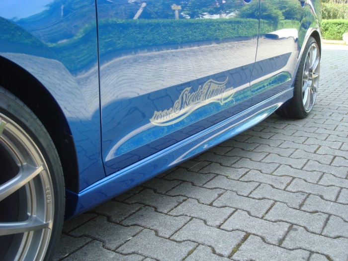 Seitenschweller Rapid, links