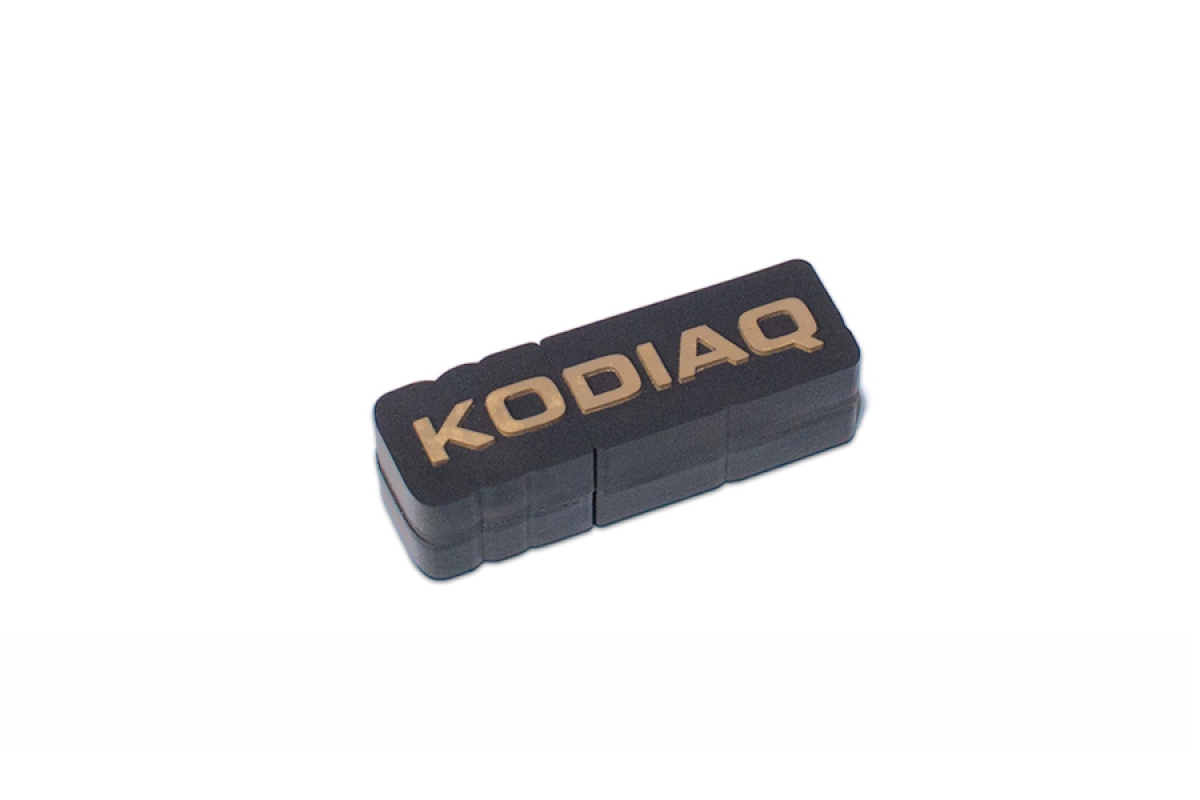 USB Stick Kodiaq