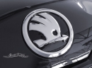 KAROQ - SKODA Emblem vorn