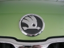 SKODA Emblem - Front